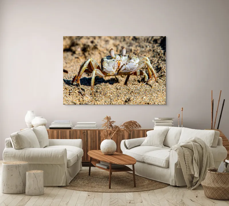 Tablou Canvas, "Crabul invizibil în nisipul auriu", Nisip, Crab, Ochii, Gheruțe, Textură, Natură, Mișcare, Culoare, Detaliu, Plajă, 150 x 100 cm – poza 3