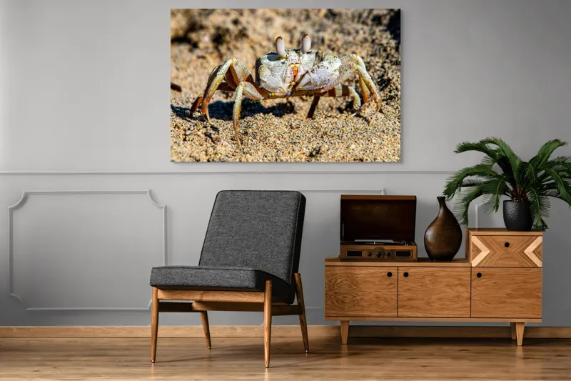 Tablou Canvas, "Crabul invizibil în nisipul auriu", Nisip, Crab, Ochii, Gheruțe, Textură, Natură, Mișcare, Culoare, Detaliu, Plajă, 150 x 100 cm – poza 8
