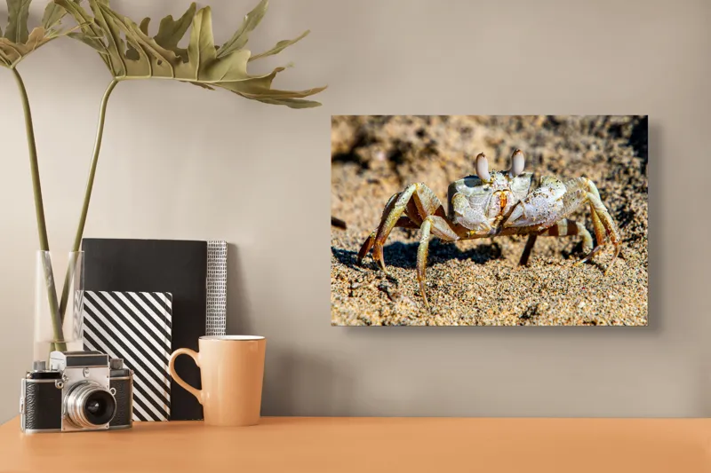 Tablou Canvas, "Crabul invizibil în nisipul auriu", Nisip, Crab, Ochii, Gheruțe, Textură, Natură, Mișcare, Culoare, Detaliu, Plajă, 39 x 26 cm – poza 3
