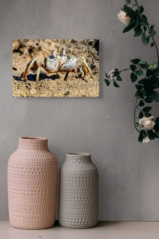 Tablou Canvas, "Crabul invizibil în nisipul auriu", Nisip, Crab, Ochii, Gheruțe, Textură, Natură, Mișcare, Culoare, Detaliu, Plajă, 39 x 26 cm – poza 4