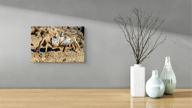 Tablou Canvas, "Crabul invizibil în nisipul auriu", Nisip, Crab, Ochii, Gheruțe, Textură, Natură, Mișcare, Culoare, Detaliu, Plajă, 39 x 26 cm – poza 8