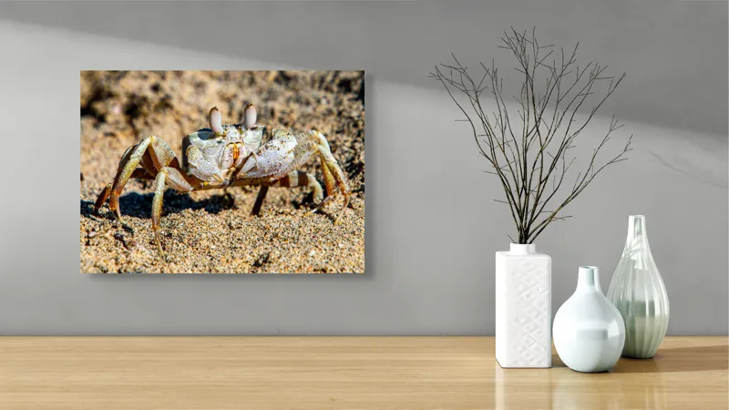 Tablou Canvas, "Crabul invizibil în nisipul auriu", Nisip, Crab, Ochii, Gheruțe, Textură, Natură, Mișcare, Culoare, Detaliu, Plajă, 54 x 39 cm – poza 3