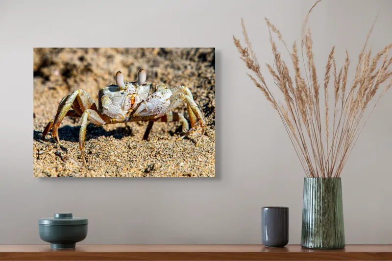 Tablou Canvas, "Crabul invizibil în nisipul auriu", Nisip, Crab, Ochii, Gheruțe, Textură, Natură, Mișcare, Culoare, Detaliu, Plajă, 54 x 39 cm – poza 4