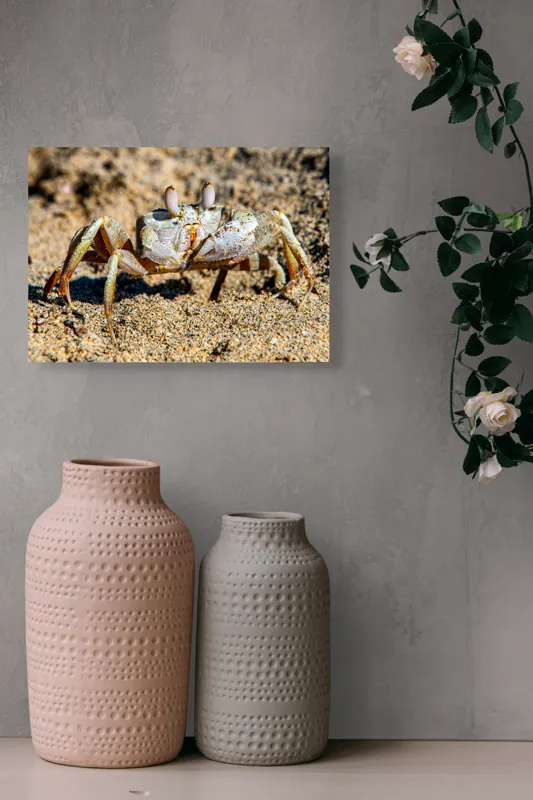 Tablou Canvas, "Crabul invizibil în nisipul auriu", Nisip, Crab, Ochii, Gheruțe, Textură, Natură, Mișcare, Culoare, Detaliu, Plajă, 54 x 39 cm – poza 8