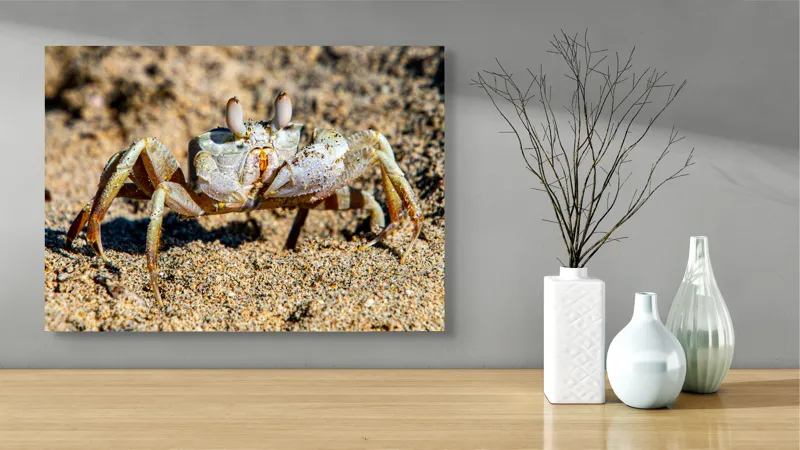 Tablou Canvas, "Crabul invizibil în nisipul auriu", Nisip, Crab, Ochii, Gheruțe, Textură, Natură, Mișcare, Culoare, Detaliu, Plajă, 70 x 50 cm – poza 3