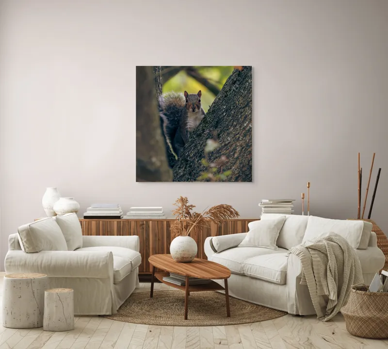 Tablou Canvas, "Jucăușul pădurii printre ramuri verzi", Veveriță, Copac, Blană, Natură, Crengi, Frunze, Privire, Vârful Cozii, Fundal Neclar, Verde., 100 x 100 cm – poza 3