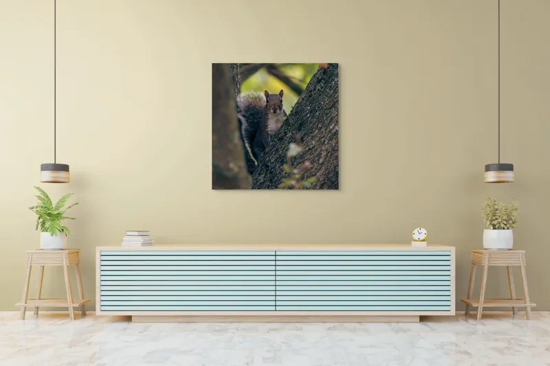 Tablou Canvas, "Jucăușul pădurii printre ramuri verzi", Veveriță, Copac, Blană, Natură, Crengi, Frunze, Privire, Vârful Cozii, Fundal Neclar, Verde., 100 x 100 cm – poza 5
