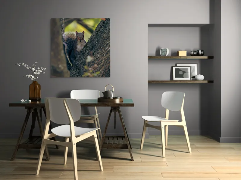 Tablou Canvas, "Jucăușul pădurii printre ramuri verzi", Veveriță, Copac, Blană, Natură, Crengi, Frunze, Privire, Vârful Cozii, Fundal Neclar, Verde., 100 x 100 cm – poza 6