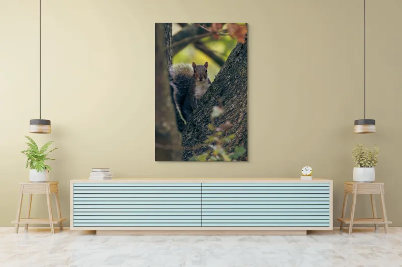 Tablou Canvas, "Jucăușul pădurii printre ramuri verzi", Veveriță, Copac, Blană, Natură, Crengi, Frunze, Privire, Vârful Cozii, Fundal Neclar, Verde., 100 x 150 cm – poza 4