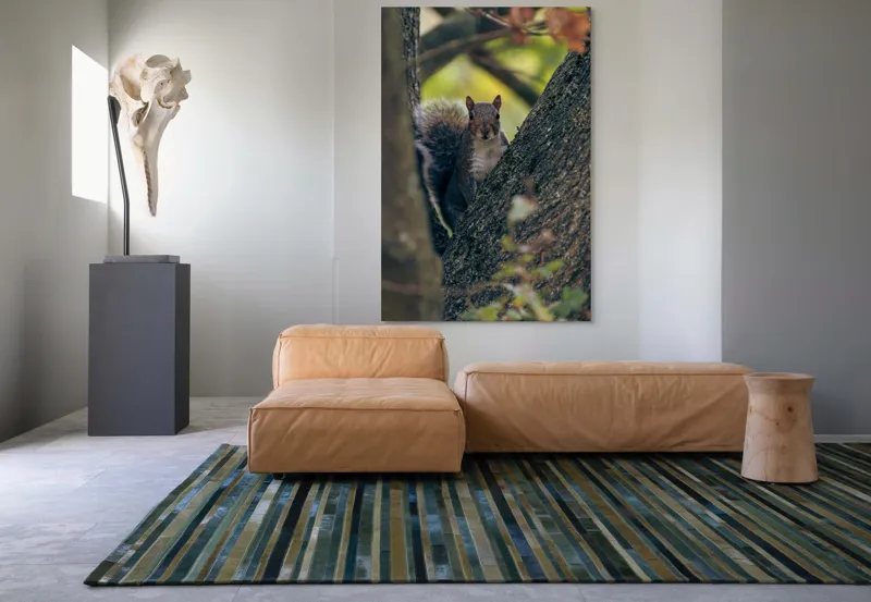 Tablou Canvas, "Jucăușul pădurii printre ramuri verzi", Veveriță, Copac, Blană, Natură, Crengi, Frunze, Privire, Vârful Cozii, Fundal Neclar, Verde., 100 x 150 cm – poza 7