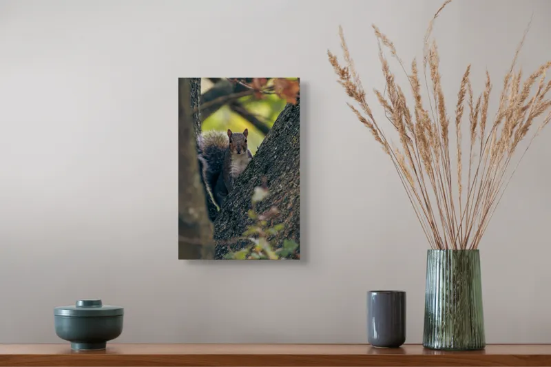 Tablou Canvas, "Jucăușul pădurii printre ramuri verzi", Veveriță, Copac, Blană, Natură, Crengi, Frunze, Privire, Vârful Cozii, Fundal Neclar, Verde., 26 x 39 cm – poza 5