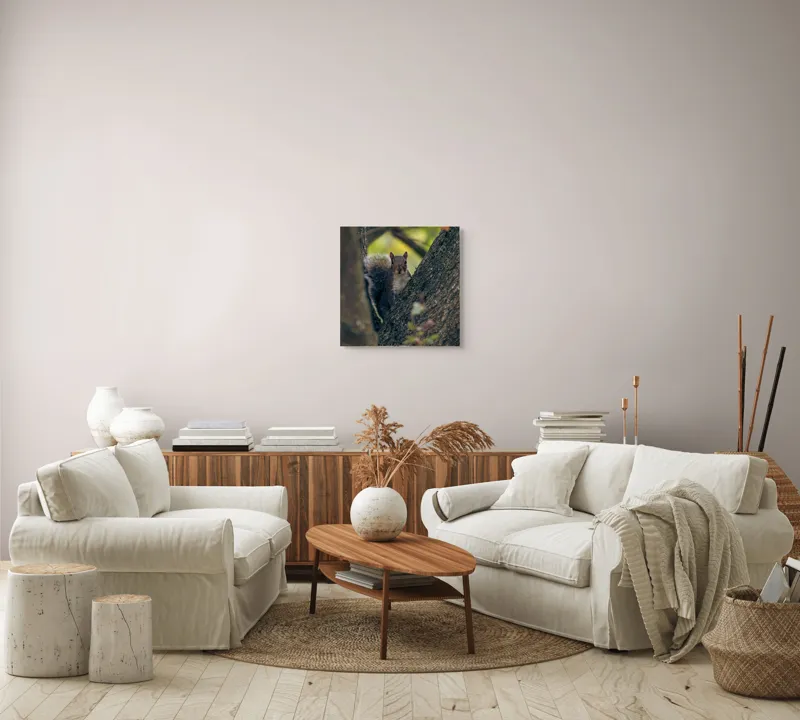 Tablou Canvas, "Jucăușul pădurii printre ramuri verzi", Veveriță, Copac, Blană, Natură, Crengi, Frunze, Privire, Vârful Cozii, Fundal Neclar, Verde., 50 x 50 cm – poza 7
