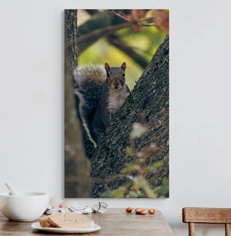 Tablou Canvas, "Jucăușul pădurii printre ramuri verzi", Veveriță, Copac, Blană, Natură, Crengi, Frunze, Privire, Vârful Cozii, Fundal Neclar, Verde., 50 x 90 cm – poza 3