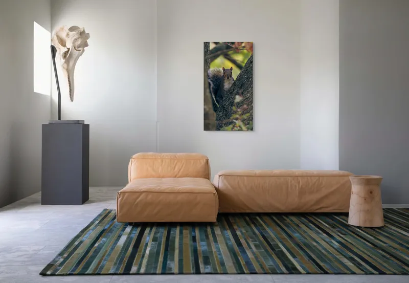 Tablou Canvas, "Jucăușul pădurii printre ramuri verzi", Veveriță, Copac, Blană, Natură, Crengi, Frunze, Privire, Vârful Cozii, Fundal Neclar, Verde., 50 x 90 cm – poza 5