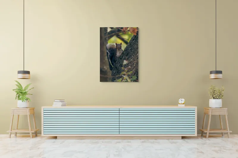 Tablou Canvas, "Jucăușul pădurii printre ramuri verzi", Veveriță, Copac, Blană, Natură, Crengi, Frunze, Privire, Vârful Cozii, Fundal Neclar, Verde., 70 x 100 cm – poza 5
