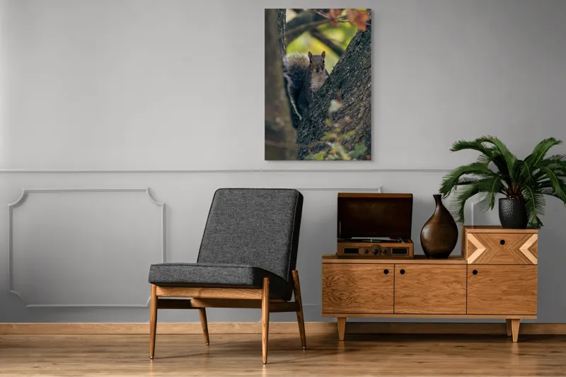 Tablou Canvas, "Jucăușul pădurii printre ramuri verzi", Veveriță, Copac, Blană, Natură, Crengi, Frunze, Privire, Vârful Cozii, Fundal Neclar, Verde., 70 x 100 cm – poza 6