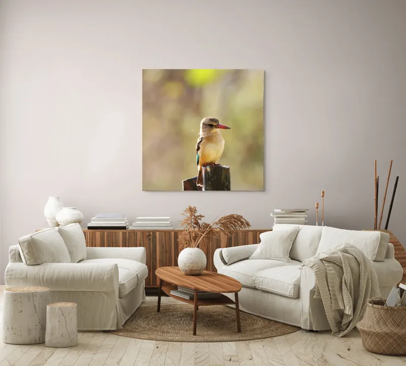 Tablou Canvas, "Pasărea în așteptarea zborului liniștit", Pasăre, Ramură, Cioc, Penaj, Lumină, Natură, Bokeh, Observare, Tranquilitate, 100 x 100 cm – poza 3
