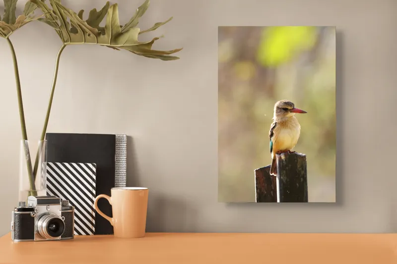 Tablou Canvas, "Pasărea în așteptarea zborului liniștit", Pasăre, Ramură, Cioc, Penaj, Lumină, Natură, Bokeh, Observare, Tranquilitate, 26 x 39 cm – poza 3