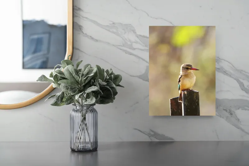 Tablou Canvas, "Pasărea în așteptarea zborului liniștit", Pasăre, Ramură, Cioc, Penaj, Lumină, Natură, Bokeh, Observare, Tranquilitate, 26 x 39 cm – poza 4