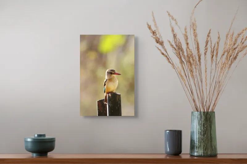 Tablou Canvas, "Pasărea în așteptarea zborului liniștit", Pasăre, Ramură, Cioc, Penaj, Lumină, Natură, Bokeh, Observare, Tranquilitate, 26 x 39 cm – poza 5