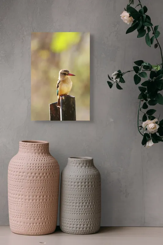 Tablou Canvas, "Pasărea în așteptarea zborului liniștit", Pasăre, Ramură, Cioc, Penaj, Lumină, Natură, Bokeh, Observare, Tranquilitate, 26 x 39 cm – poza 6