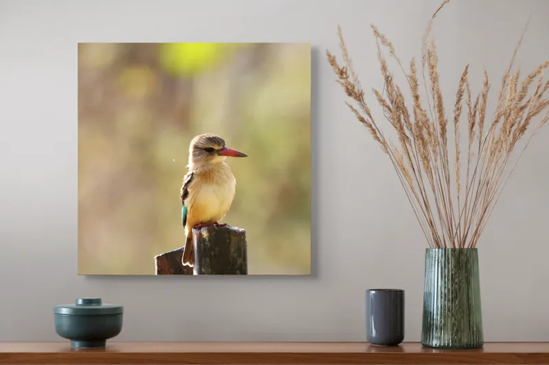 Tablou Canvas, "Pasărea în așteptarea zborului liniștit", Pasăre, Ramură, Cioc, Penaj, Lumină, Natură, Bokeh, Observare, Tranquilitate, 50 x 50 cm – poza 4