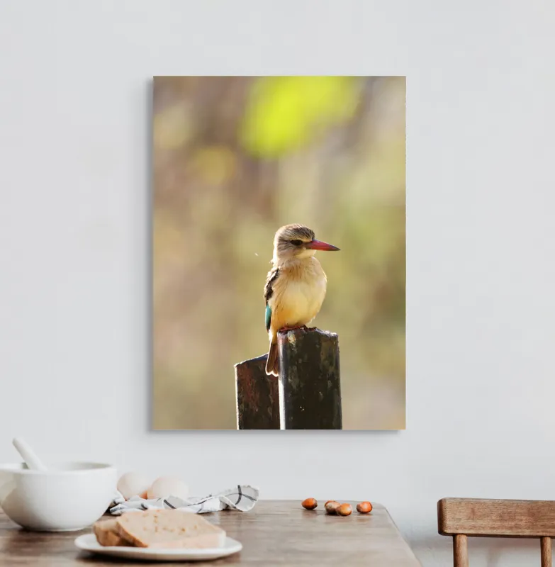 Tablou Canvas, "Pasărea în așteptarea zborului liniștit", Pasăre, Ramură, Cioc, Penaj, Lumină, Natură, Bokeh, Observare, Tranquilitate, 50 x 70 cm – poza 3