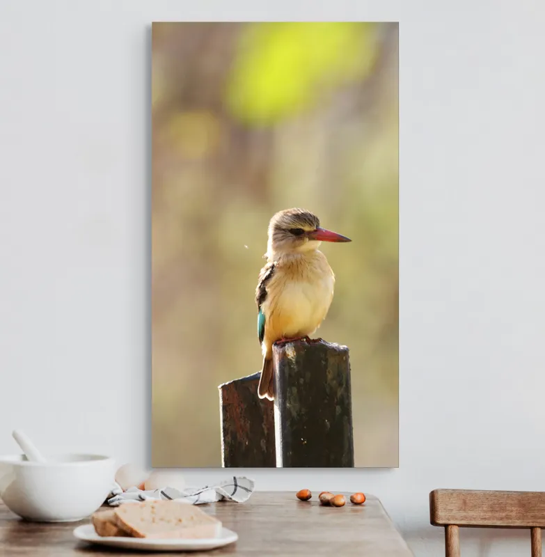 Tablou Canvas, "Pasărea în așteptarea zborului liniștit", Pasăre, Ramură, Cioc, Penaj, Lumină, Natură, Bokeh, Observare, Tranquilitate, 50 x 90 cm – poza 3