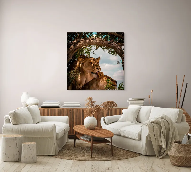 Tablou Canvas, "Regina savanei și prada ei", Leoaice, Copaci, Frunze, Cer, Umbre, Blană, Îmbrățișare, 100 x 100 cm – poza 3
