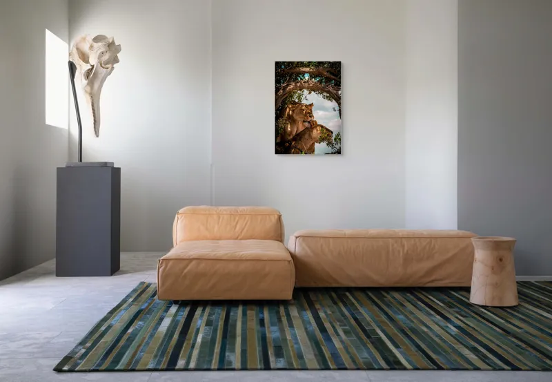 Tablou Canvas, "Regina savanei și prada ei", Leoaice, Copaci, Frunze, Cer, Umbre, Blană, Îmbrățișare, 50 x 70 cm – poza 7