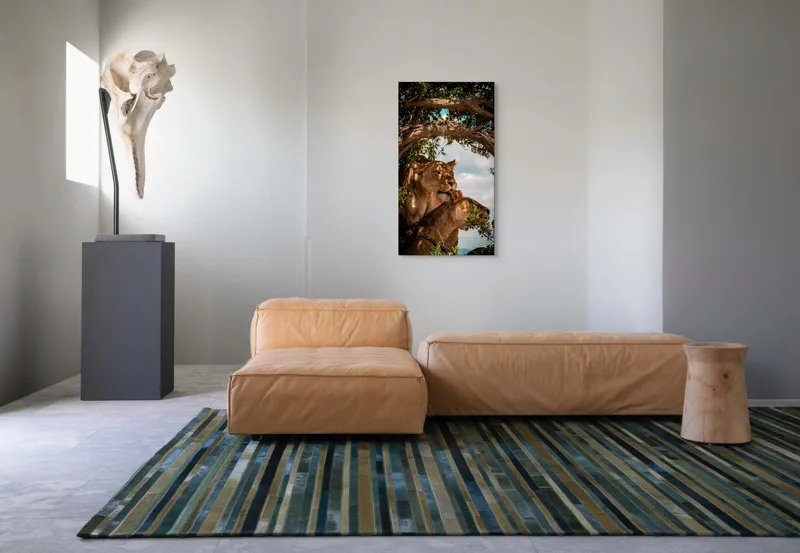 Tablou Canvas, "Regina savanei și prada ei", Leoaice, Copaci, Frunze, Cer, Umbre, Blană, Îmbrățișare, 50 x 90 cm – poza 5