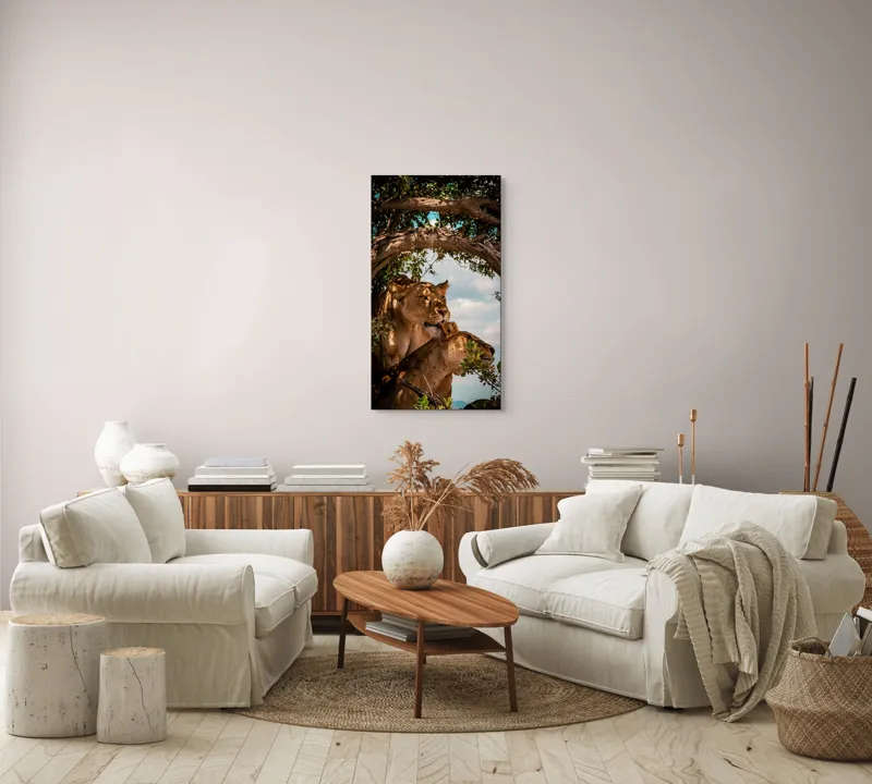 Tablou Canvas, "Regina savanei și prada ei", Leoaice, Copaci, Frunze, Cer, Umbre, Blană, Îmbrățișare, 50 x 90 cm – poza 7