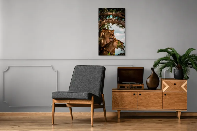 Tablou Canvas, "Regina savanei și prada ei", Leoaice, Copaci, Frunze, Cer, Umbre, Blană, Îmbrățișare, 50 x 90 cm – poza 8