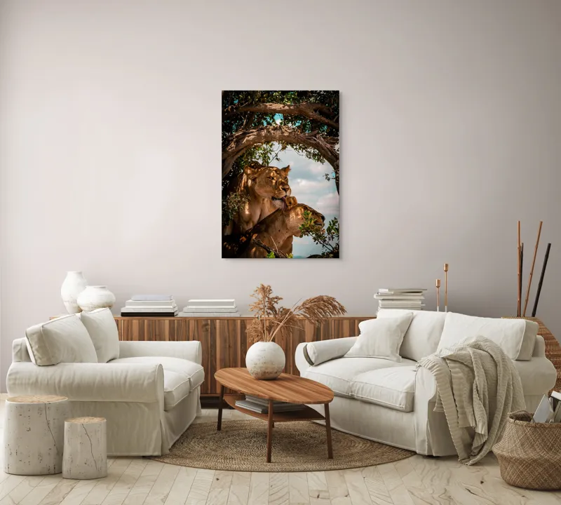 Tablou Canvas, "Regina savanei și prada ei", Leoaice, Copaci, Frunze, Cer, Umbre, Blană, Îmbrățișare, 70 x 100 cm – poza 4