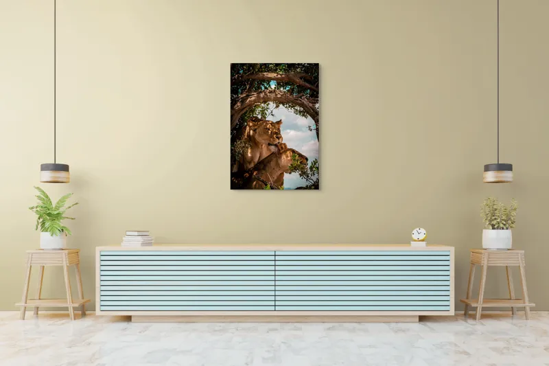 Tablou Canvas, "Regina savanei și prada ei", Leoaice, Copaci, Frunze, Cer, Umbre, Blană, Îmbrățișare, 70 x 100 cm – poza 5