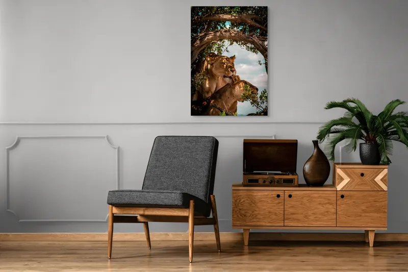 Tablou Canvas, "Regina savanei și prada ei", Leoaice, Copaci, Frunze, Cer, Umbre, Blană, Îmbrățișare, 70 x 100 cm – poza 6