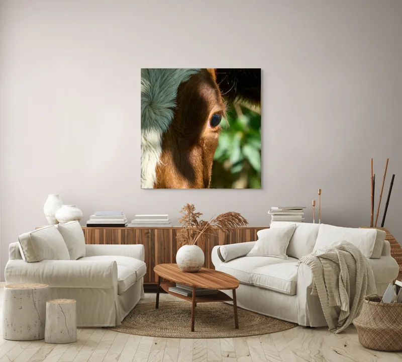 Tablou Canvas, "Privirea curioasă a vacii în soare", Vacă, Ochii, Lumină, Umbre, Blană, Natură, Detaliu, Verde., 100 x 100 cm – poza 3