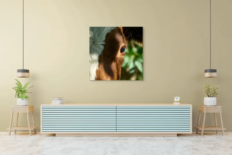 Tablou Canvas, "Privirea curioasă a vacii în soare", Vacă, Ochii, Lumină, Umbre, Blană, Natură, Detaliu, Verde., 100 x 100 cm – poza 5