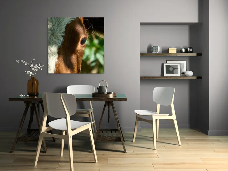 Tablou Canvas, "Privirea curioasă a vacii în soare", Vacă, Ochii, Lumină, Umbre, Blană, Natură, Detaliu, Verde., 100 x 100 cm – poza 6