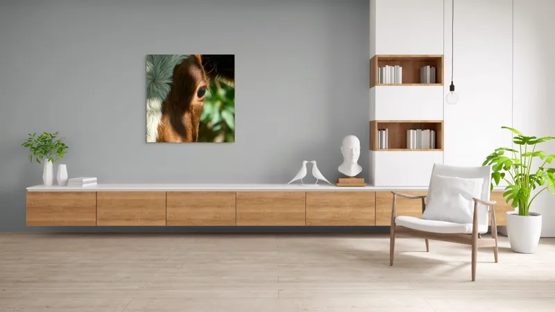 Tablou Canvas, "Privirea curioasă a vacii în soare", Vacă, Ochii, Lumină, Umbre, Blană, Natură, Detaliu, Verde., 100 x 100 cm – poza 8