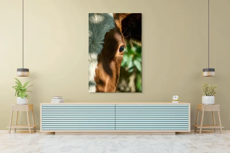 Tablou Canvas, "Privirea curioasă a vacii în soare", Vacă, Ochii, Lumină, Umbre, Blană, Natură, Detaliu, Verde., 100 x 150 cm – poza 4