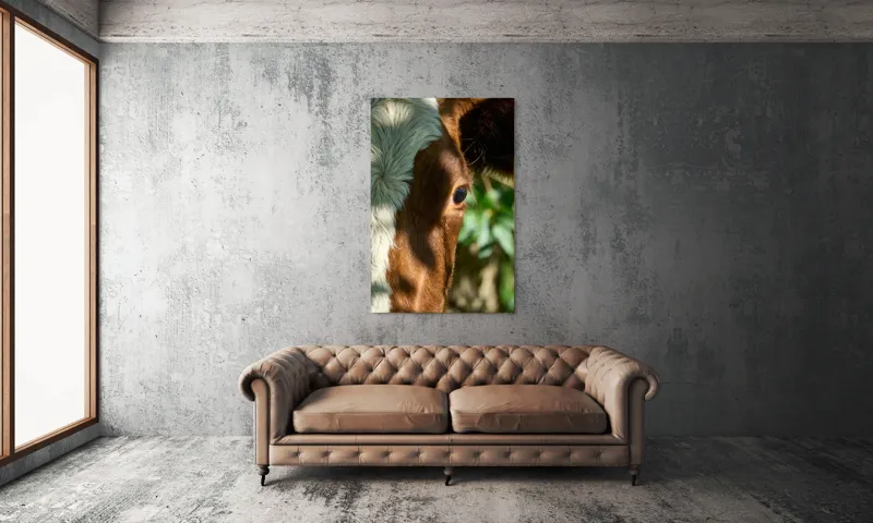 Tablou Canvas, "Privirea curioasă a vacii în soare", Vacă, Ochii, Lumină, Umbre, Blană, Natură, Detaliu, Verde., 100 x 150 cm – poza 6