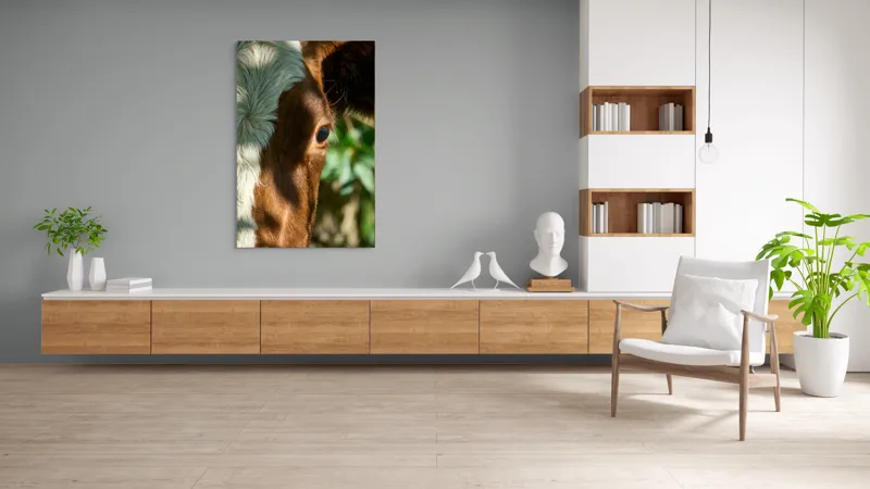 Tablou Canvas, "Privirea curioasă a vacii în soare", Vacă, Ochii, Lumină, Umbre, Blană, Natură, Detaliu, Verde., 100 x 150 cm – poza 8