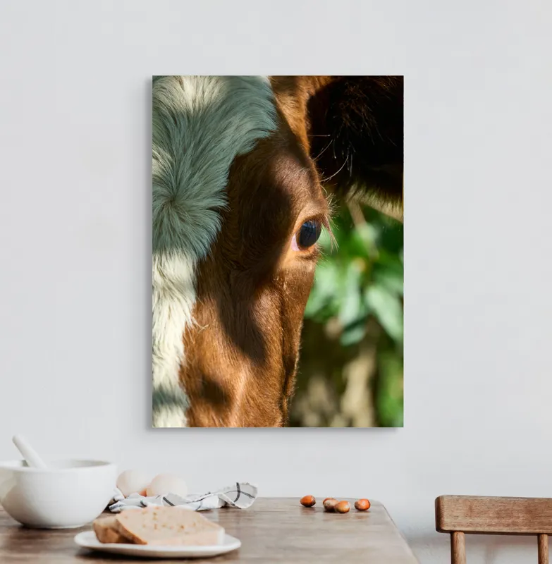Tablou Canvas, "Privirea curioasă a vacii în soare", Vacă, Ochii, Lumină, Umbre, Blană, Natură, Detaliu, Verde., 50 x 70 cm – poza 3