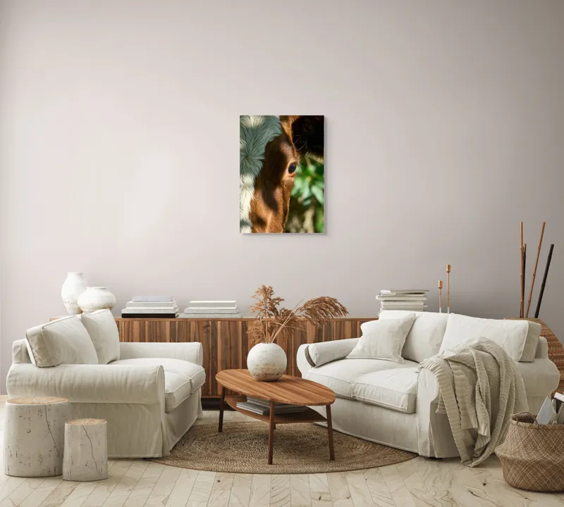 Tablou Canvas, "Privirea curioasă a vacii în soare", Vacă, Ochii, Lumină, Umbre, Blană, Natură, Detaliu, Verde., 50 x 70 cm – poza 4