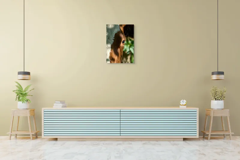 Tablou Canvas, "Privirea curioasă a vacii în soare", Vacă, Ochii, Lumină, Umbre, Blană, Natură, Detaliu, Verde., 50 x 70 cm – poza 6