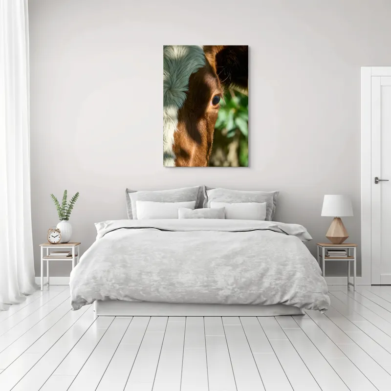 Tablou Canvas, "Privirea curioasă a vacii în soare", Vacă, Ochii, Lumină, Umbre, Blană, Natură, Detaliu, Verde., 70 x 100 cm – poza 3