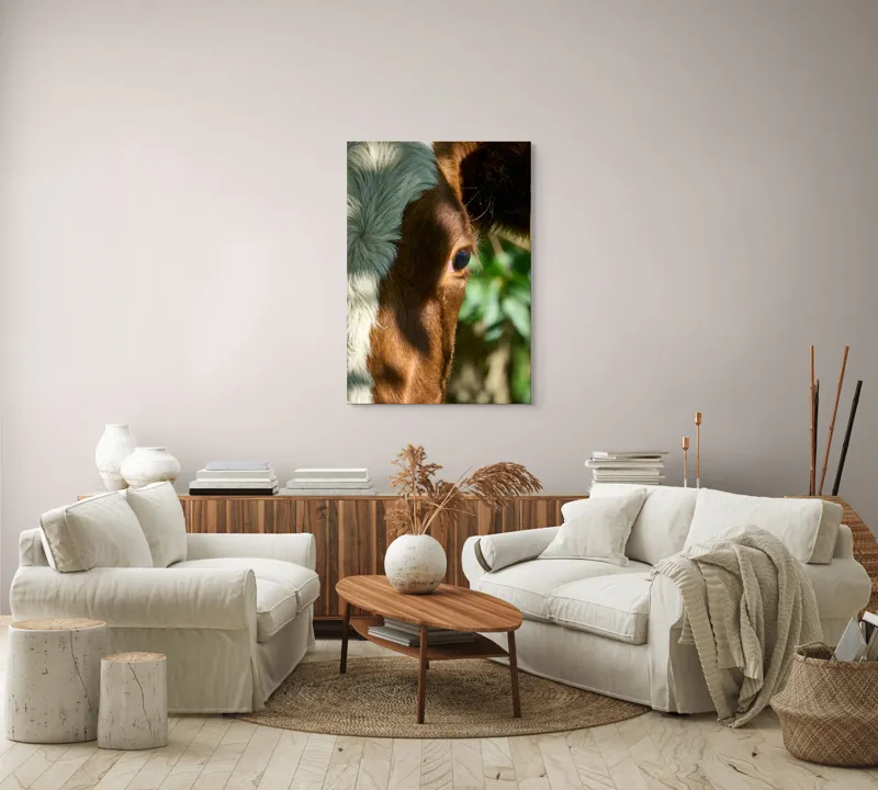 Tablou Canvas, "Privirea curioasă a vacii în soare", Vacă, Ochii, Lumină, Umbre, Blană, Natură, Detaliu, Verde., 70 x 100 cm – poza 4