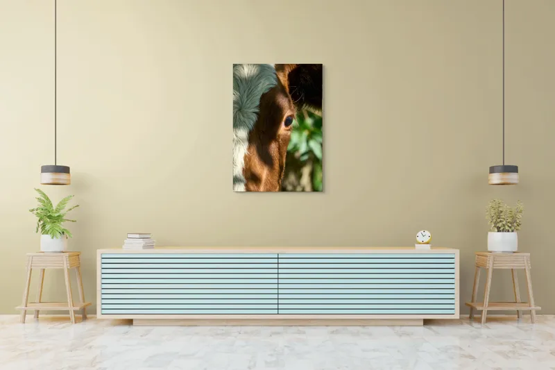 Tablou Canvas, "Privirea curioasă a vacii în soare", Vacă, Ochii, Lumină, Umbre, Blană, Natură, Detaliu, Verde., 70 x 100 cm – poza 5