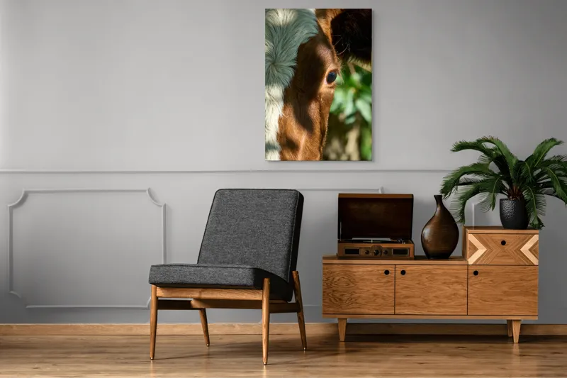 Tablou Canvas, "Privirea curioasă a vacii în soare", Vacă, Ochii, Lumină, Umbre, Blană, Natură, Detaliu, Verde., 70 x 100 cm – poza 6